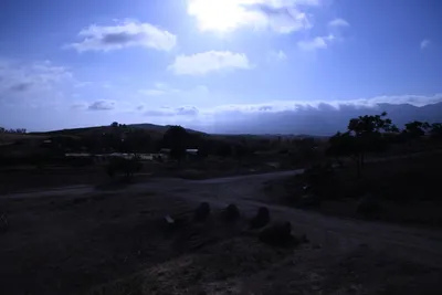 DSC_1197 (Large).JPG